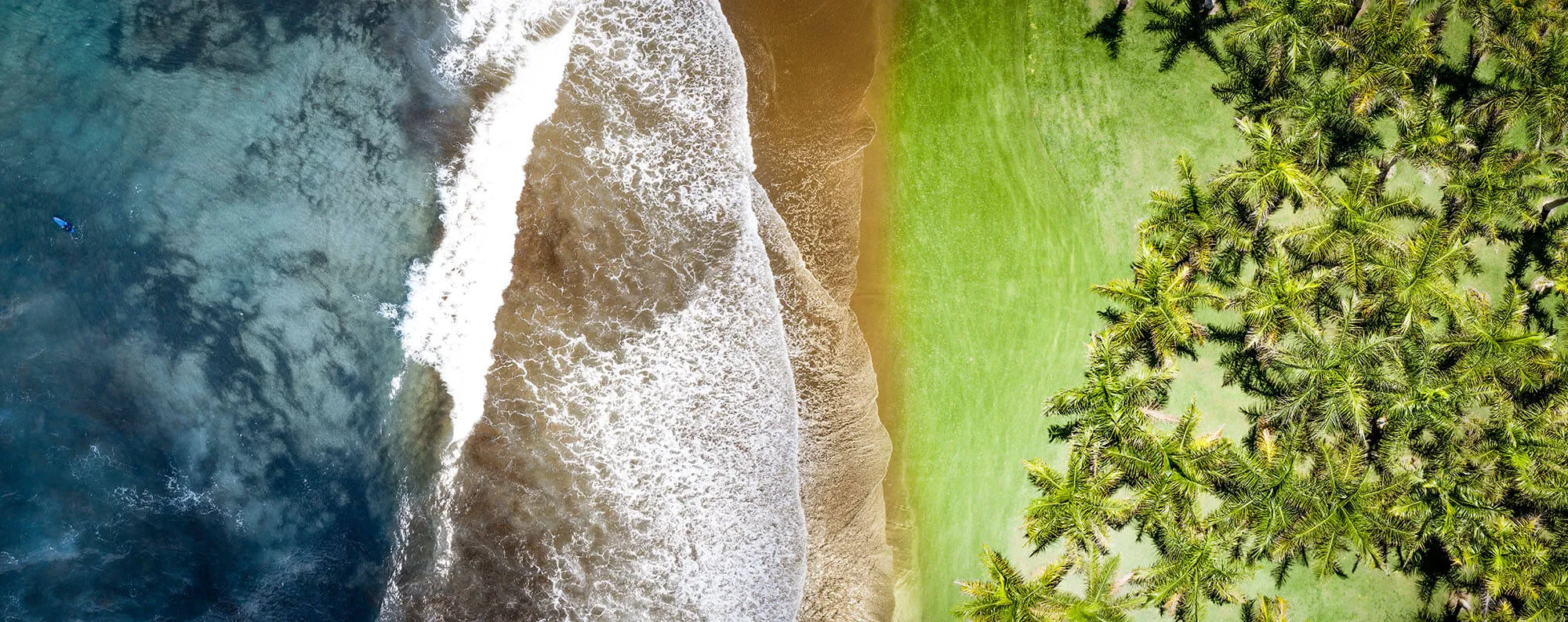 Douglas C. Walters Walters Strategic Advisors, LLC